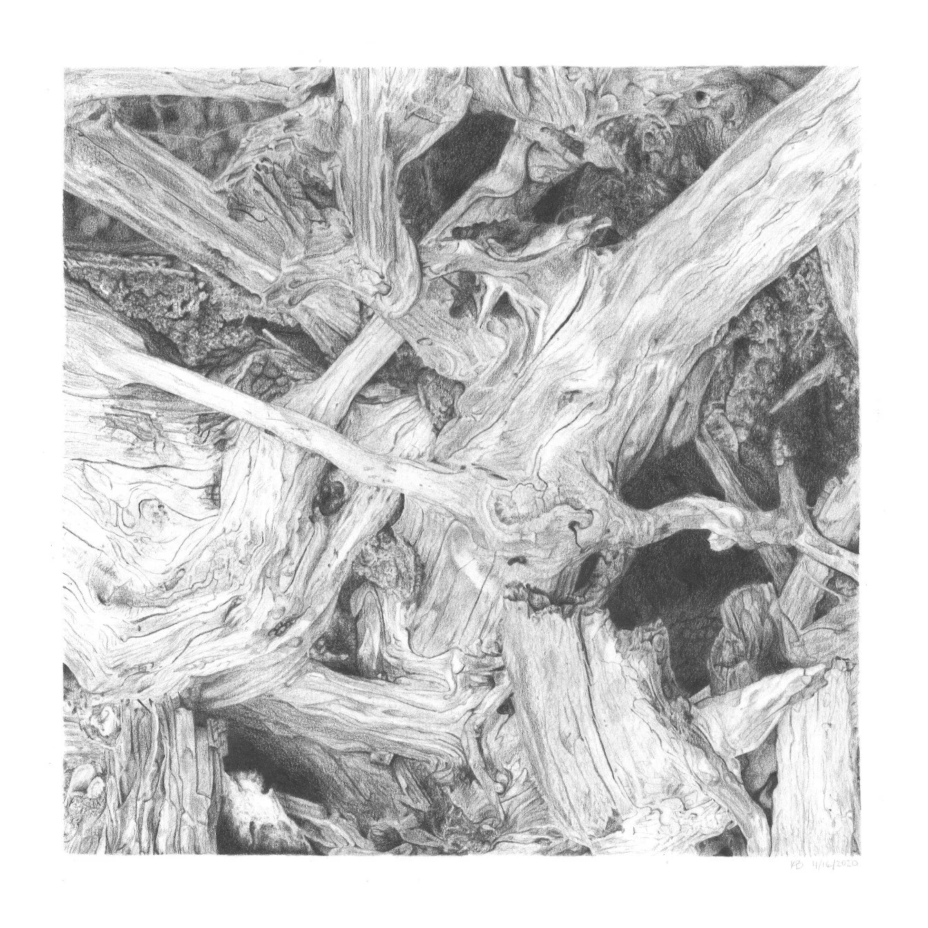 Driftwood+1+2020-04-16.jpg?
